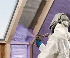 Best Spray Foam Insulation  in Hawi, HI